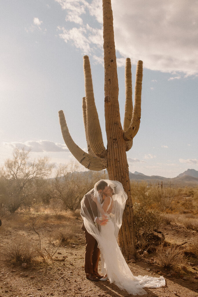 Bridal portraits in the Arizona deser