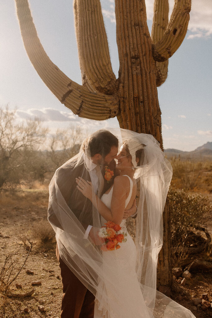 Bridal portraits in the Arizona deser