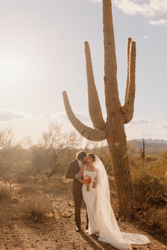 Bridal portraits in the Arizona deser