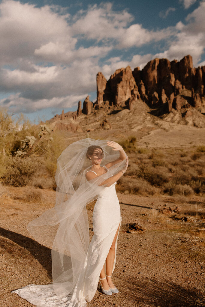 Bridal portraits in the Arizona deser