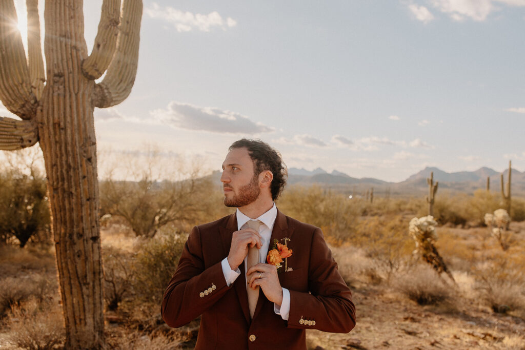 Bridal portraits in the Arizona deser